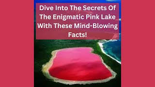 Dive Into The Secrets Of The Enigmatic Pink Lake With These MindBlowing Facts [upl. by Leahpar19]