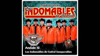 Indomables Del Cedral  Sacame Si Puedes 2013 [upl. by Nawyt]