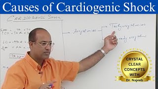 Causes of Cardiogenic Shock  Pathophysiology  Cardiology [upl. by Bound]