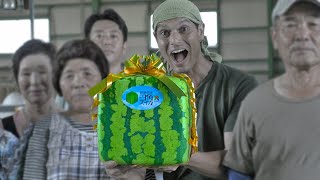 Square Watermelon Farming ★ ONLY in JAPAN [upl. by Niwrek]