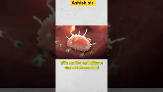 viralvideo ytshorts ytshort science study students stunt bloodstrike health healthy [upl. by Annoyek288]