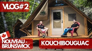 On a vu DES CENTAINES DE PHOQUES au Parc de Kouchibouguac  NouveauBrunswick  VLOG 2 [upl. by Tila]