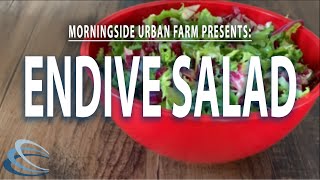 How to Make Endive Salad [upl. by Naraa]