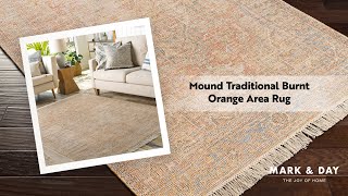 Mound Traditional Burnt Orange Area Rug [upl. by Aseuqram381]