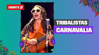 Tribalistas  Carnavália Ao Vivo  Aquecimento LollaBR  Shorts [upl. by Htebasyle999]