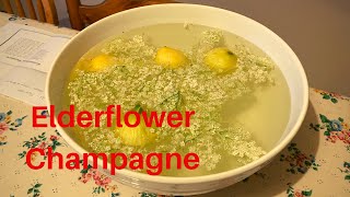 Making Elderflower Champagne [upl. by Aivull]