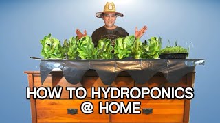 Growing at home hydroponics How it works simple and cheap [upl. by Cheke]