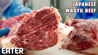 How a Team of Master Butchers Produces TopTier Wagyu Beef — Vendors [upl. by Eittod]