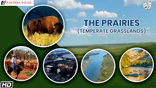 The Prairies Temperate Grasslands  Be an Explorer class 5  Rachna Sagar [upl. by Ennovy]