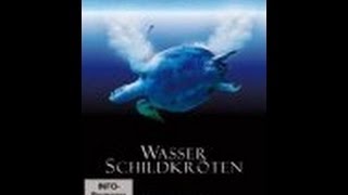 Wasserschildkröten  Lebensraum und Artenschutz  Film [upl. by Ambur]