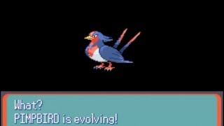 Pokemon Sapphire Part 10 Swellow Evolves [upl. by Sanfourd220]