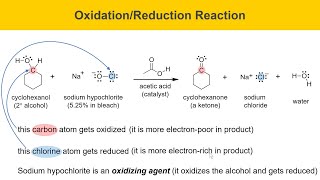 Green Oxidation of Cyclohexanol Experiment Part 1 Prelab [upl. by Eilegna]