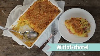 RECEPT  Witlofschotel met ham en kaas [upl. by Tan735]