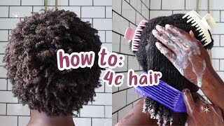 Curly Hair 101 Beginners Guide to 4C Hair [upl. by Eiramasil236]