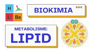 Metabolisme Makromolekul Lipid lipogenesislipolisis  Biokimia 101 [upl. by Herra199]