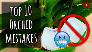 Top 10 Mistakes you didnt know you were making  Orchid Care for Beginners [upl. by Edmond]