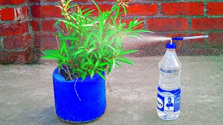 how to make water spray bottle at home  easy water spray [upl. by Ilene]