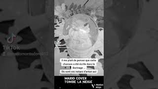 Tombe la neige cover [upl. by Yenoh182]