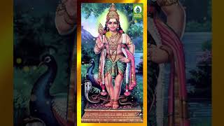 சின்னஞ்சிறு கொலுசுமணி  Lord 🙏 Murugan Song HD Video  Murugan Song  shorts murugan godsongs [upl. by Skutchan]