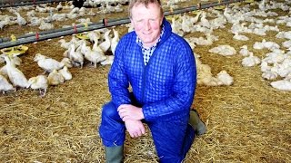 Ian Rix a Red Tractor duck farmer [upl. by Obadiah]