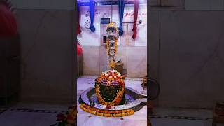 Sankari shiv bhole Omaha potty Mahadev Shankar shiv bhole Omaha potty mahadevan short video song [upl. by Johm]