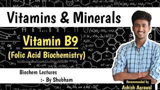 Vitamin B9 Folic Acid  Nutritional Biochemistry  Biochemistry Lectures [upl. by Enar612]