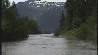 Jet Boating  Stikine River to Shakes Glacier  Wrangell AK [upl. by Gibbie]