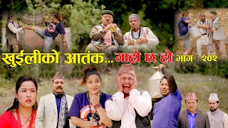 खुईलीको आतंक II Garo Chha Ho II Episode 202 II May 13 2024 II Begam Nepali II Karuna [upl. by Harlene216]