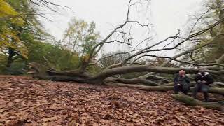 Hampstead Heath Avata 2 FPV [upl. by Terrab839]