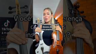 Diferença entre violino acústico e elétrico violino instrumentomusical violinoeletrico [upl. by Sitruc]