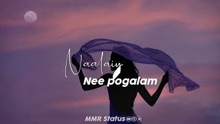 Tamil Whatsapp Status  Love Songs New  Love Whatsapp Status Tamil  female version status tamil [upl. by Gatian615]