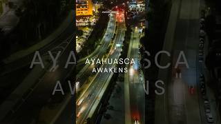 🌿AYAHUASCA awakens you to the power of the universe within you 💫 ayahuascaceremony pachamama [upl. by Ettevi]