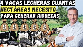 4 vacas lecheras cuantas hectáreas necesito PARA GENERAR RIQUEZAS [upl. by Job]