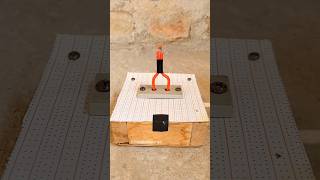 Ceramic Capacitor vs 220V Electricity experiment shorts [upl. by Ambrogino]