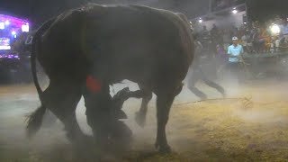 LLEGO LA TRAGEDIA AL JARIPEO  RANCHO LA HERENCIA EN XALPATLAHUAC GUERRERO 2024 [upl. by Regen]