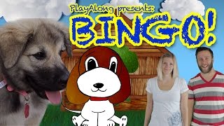 Bingo  Dog Song  Child Nursery Rhyme [upl. by Asilat451]