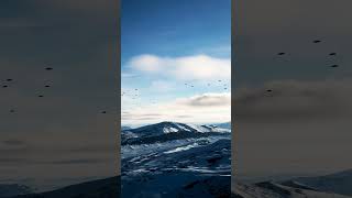 Antarctica A swarm of UAPUFOs were spotted over the Transantarctic Mountains today uap ufo dcs [upl. by Brouwer]