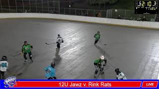 12u Jaws v 12u Rink Rats [upl. by Yttig]