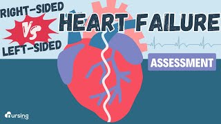 Heart Failure Right Sided vs Left Sided Assessment [upl. by Hach]