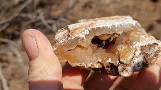 Botryoidal Agates and Ornate Multicolored Jaspers Thanksgiving Day 2023 Rockhounding Central Oregon [upl. by Halsey]