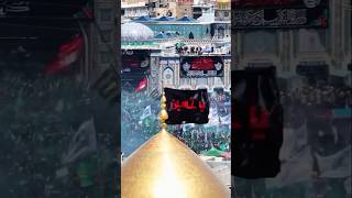 Mera Imam Hussain asnadeemsarwar meraimamhussain karbala [upl. by Iek115]