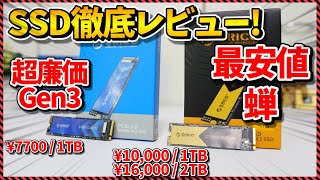 【自作PC】2024も蝉の季節がやってきた！？価格の割に相変わらず高性能な蝉と格安ローエンドGen3 SSDを徹底レビュー！ [upl. by Willett]