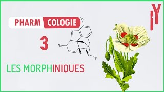 Pharma Antalgiques E3Les Morphiniques [upl. by Annovaj184]