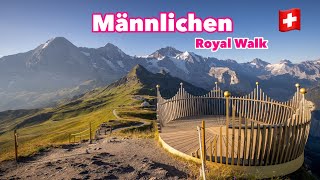 📍Männlichen Grindelwald 🏔️🇨🇭 Swiss Mountain Royal Walk  Jungfrauregion [upl. by Turro]