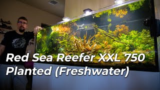 Red Sea Reefer XXL 750 Freshwater Planted Full Walkthrough [upl. by Ermey]