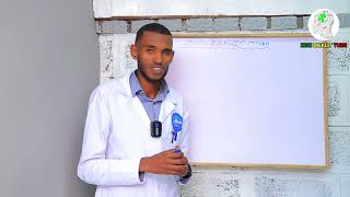 áŠ‘ áŠ¥áŠ•áˆ›áˆ›áˆ­ áˆ°áˆ˜áˆ­ áŠ®áˆ­áˆµ Zeki meklit tube [upl. by Odelia]