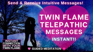 Twin Flame Reunion Meditation  Telepathic Communication with your Twin Flame 💖 POWERFUL 💖 [upl. by Hook]