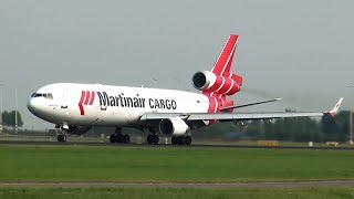 MD11 birdstrike during takeoff [upl. by Nnaik]