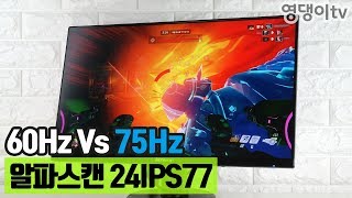 알파스캔 24IPS77 게이밍 모니터 60Hz Vs 75Hz 체감될까 [upl. by Elfstan]