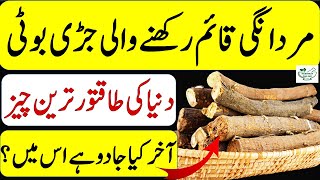 Ashwagandha Ke Fayde Kya Hai  ASHWAGANDHA Benefits For Men  Asgandh Nagori Ke Fayde In Urdu Hindi [upl. by Pamela259]